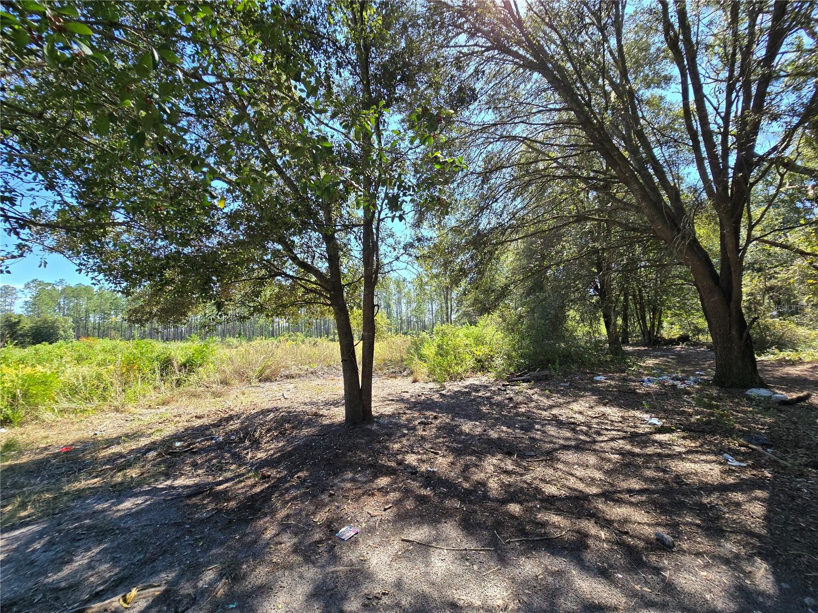 SW 150TH ST, DUNNELLON, FL, 34432