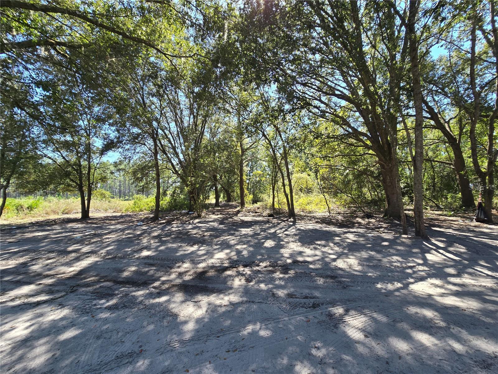 SW 150TH ST, DUNNELLON, FL, 34432