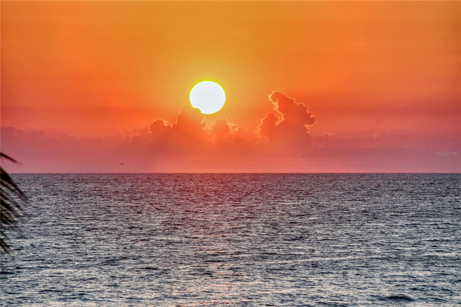 A4670057 Property Photo