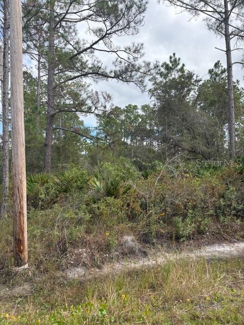 2311 BEECH BLVD, BUNNELL, FL, 32110