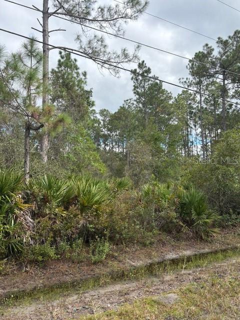 2311 BEECH BLVD, BUNNELL, FL, 32110