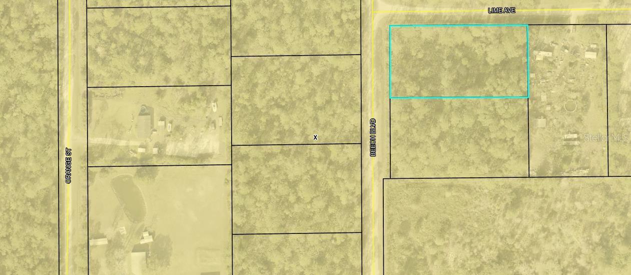 2311 BEECH BLVD, BUNNELL, FL, 32110