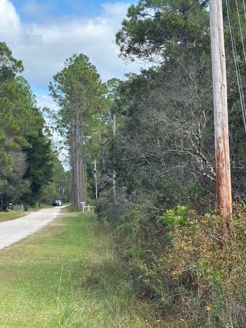 2311 BEECH BLVD, BUNNELL, FL, 32110