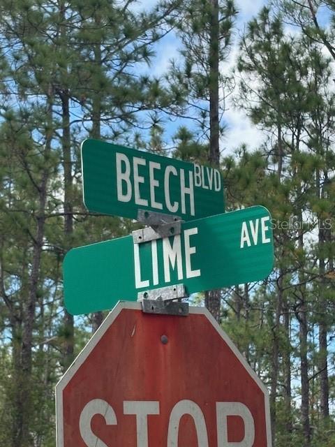 2311 BEECH BLVD, BUNNELL, FL, 32110