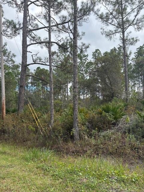 2311 BEECH BLVD, BUNNELL, FL, 32110