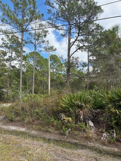 2311 BEECH BLVD, BUNNELL, FL, 32110