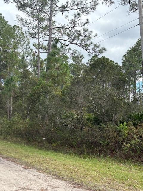 2311 BEECH BLVD, BUNNELL, FL, 32110