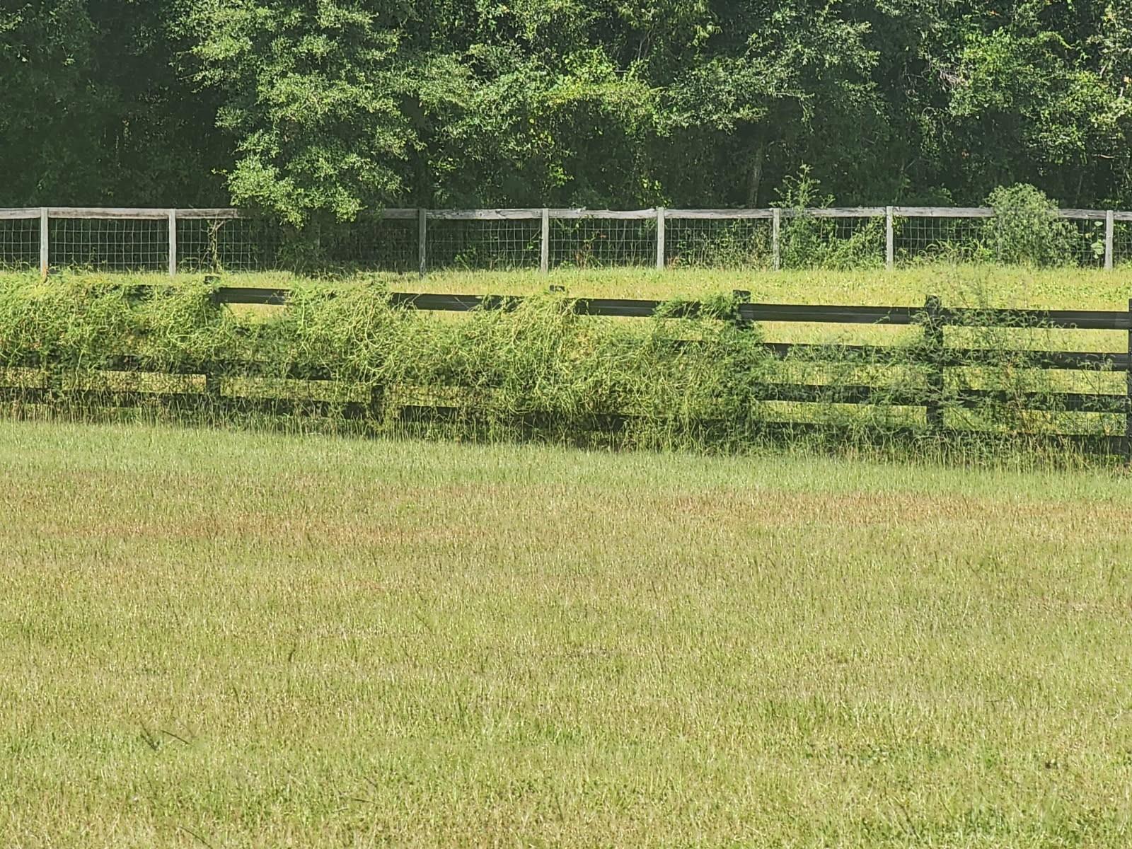 10630 NW 153RD TER, ALACHUA, FL, 32615