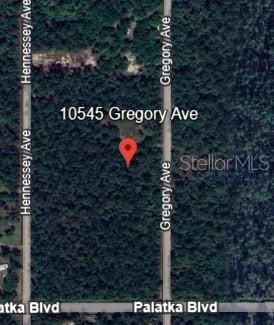 10545 GREGORY AVE, HASTINGS, FL, 32145