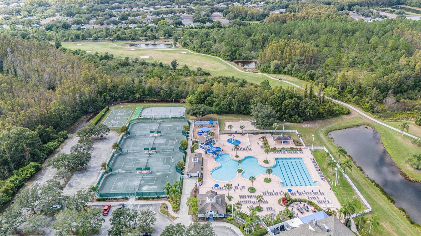 4204 HARBOR LAKE DR, LUTZ, FL, 33558