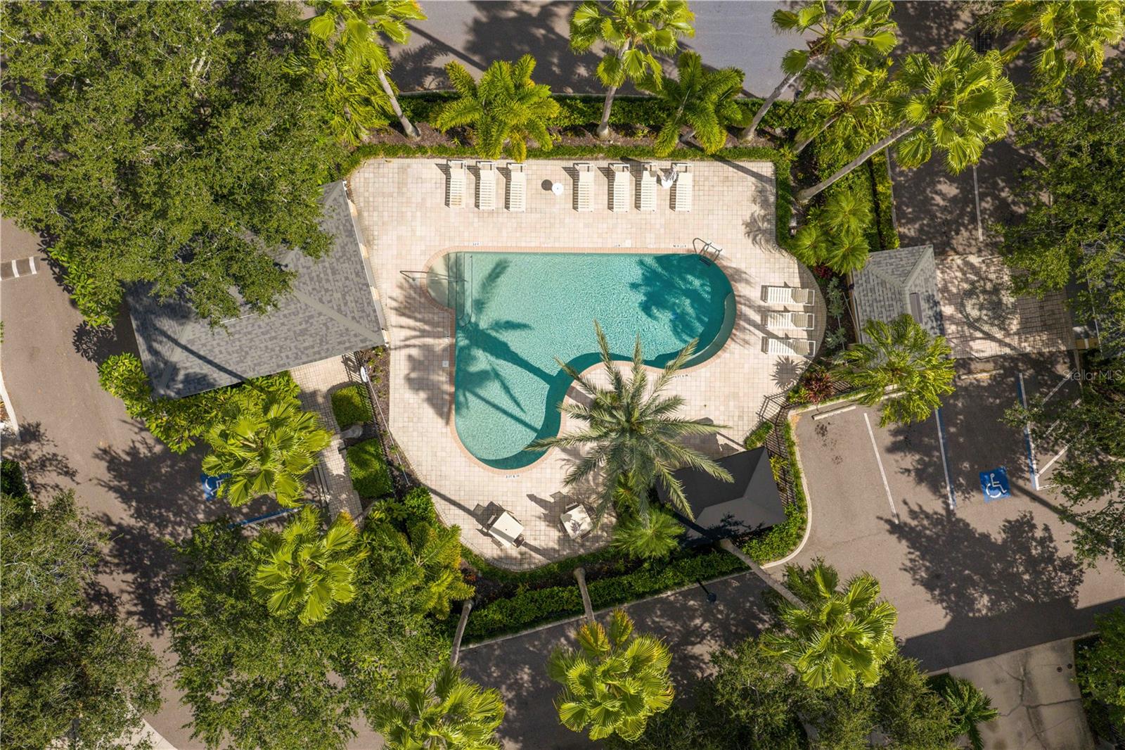 The Harbourside Community Pool