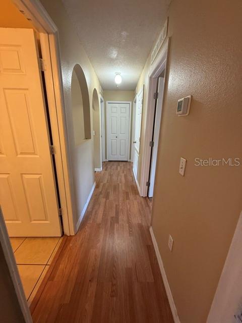 15808 SWITCH CANE ST, CLERMONT, FL, 34711