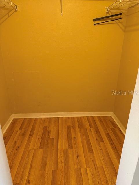 15808 SWITCH CANE ST, CLERMONT, FL, 34711