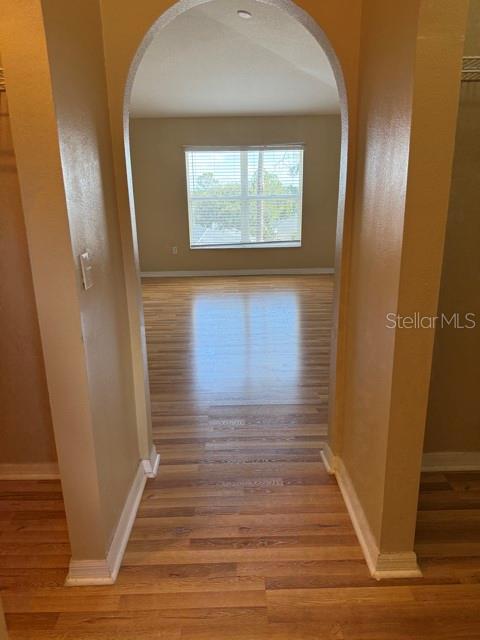 15808 SWITCH CANE ST, CLERMONT, FL, 34711