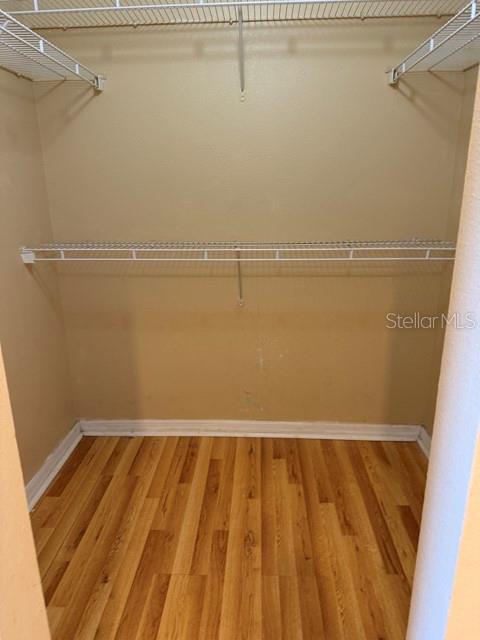 15808 SWITCH CANE ST, CLERMONT, FL, 34711