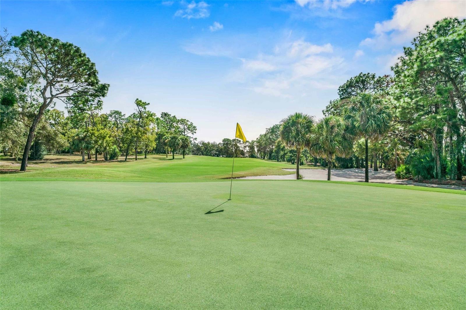 8426 CHARLESTON DR, WEEKI WACHEE, FL, 34613