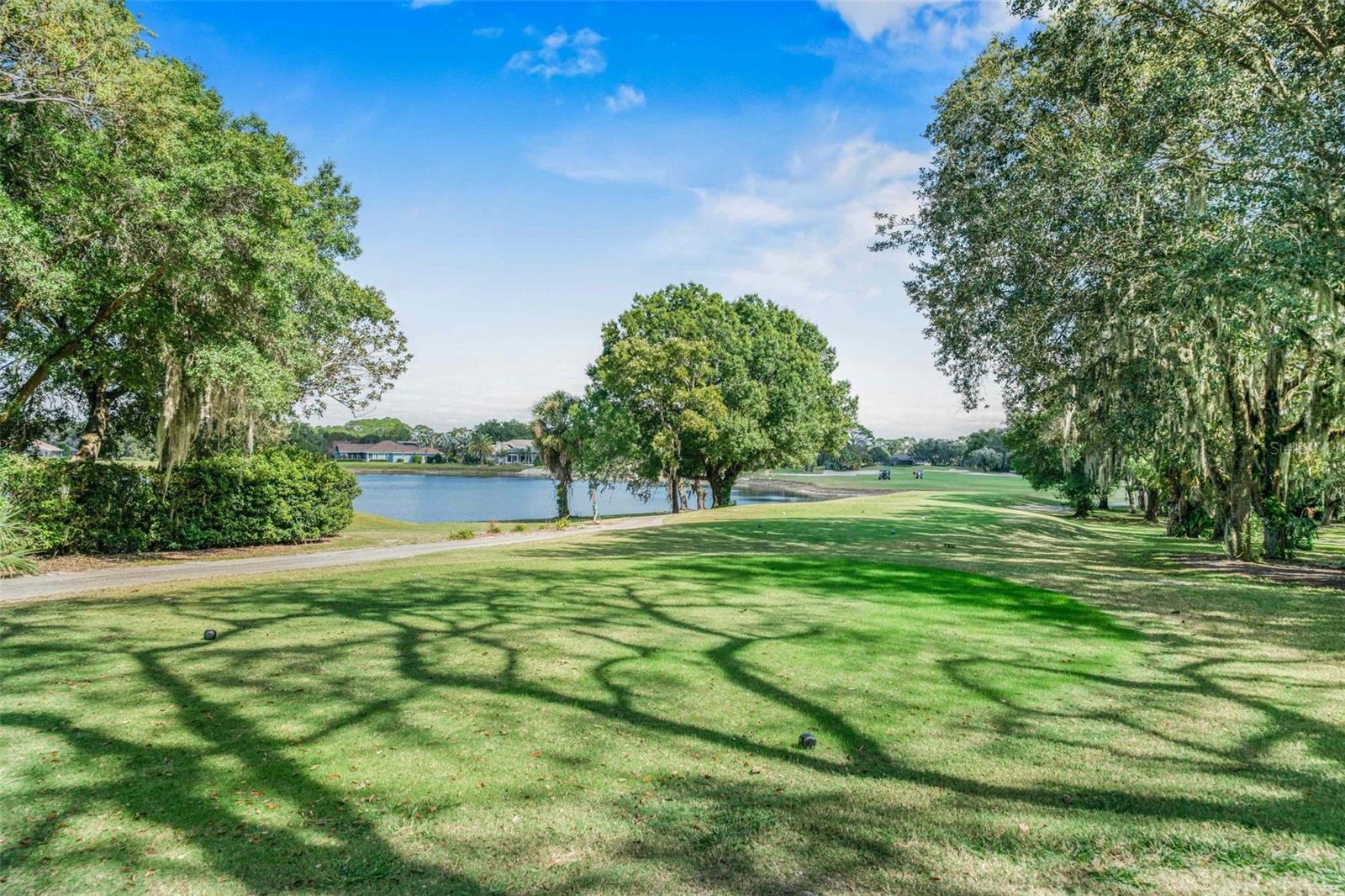 8426 CHARLESTON DR, WEEKI WACHEE, FL, 34613