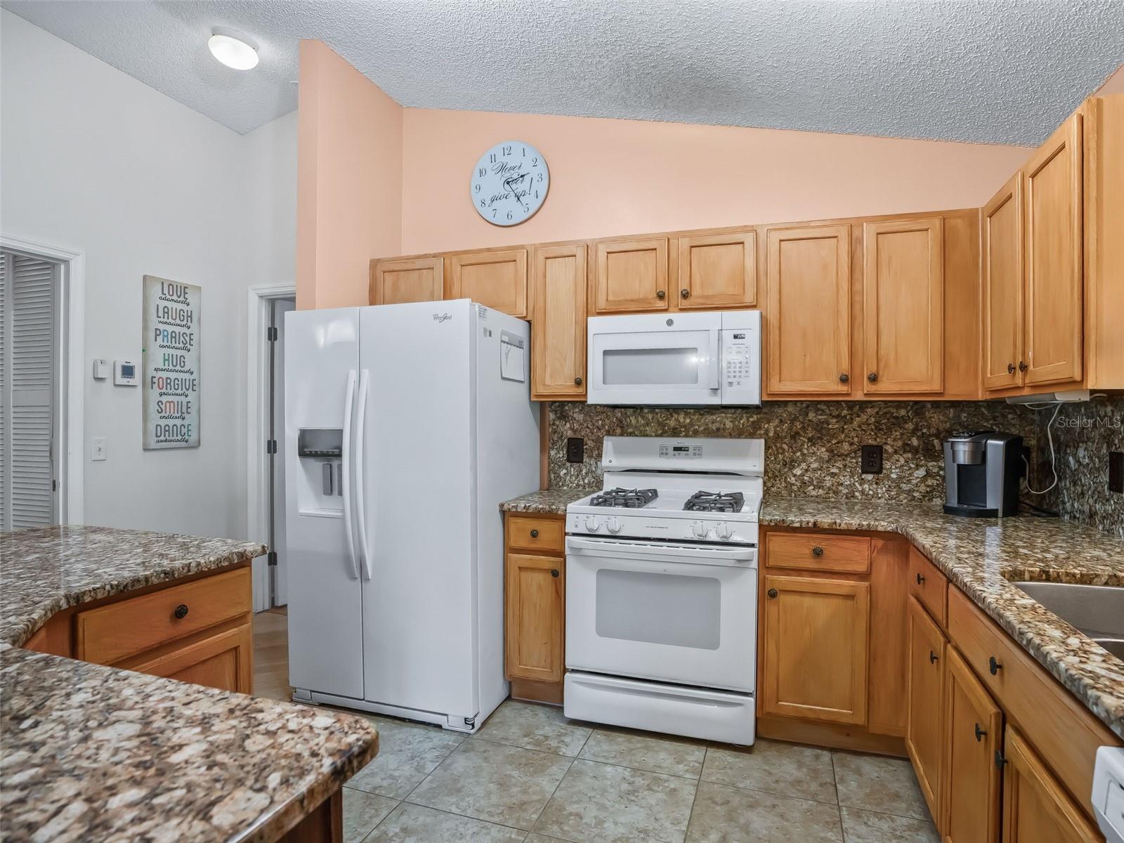 9671 SE 168TH MAPLESONG LN, THE VILLAGES, FL, 32162