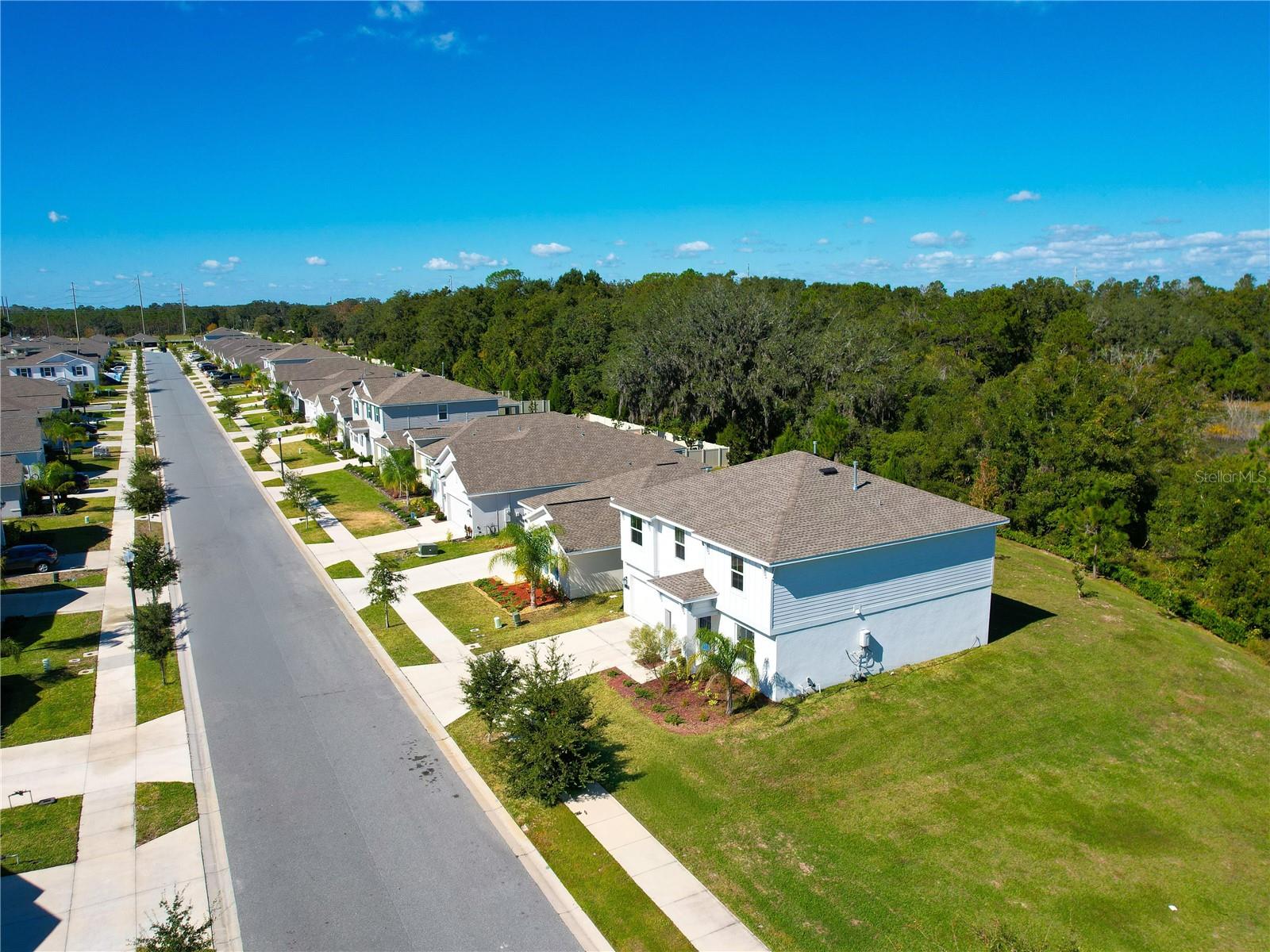 33622 SKY BLOSSOM CIR, LEESBURG, FL, 34788