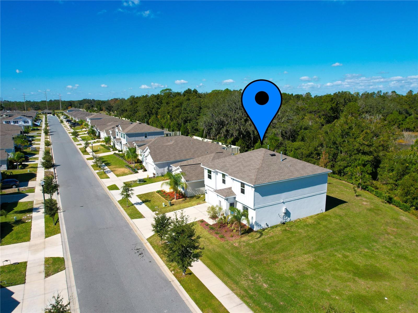 33622 SKY BLOSSOM CIR, LEESBURG, FL, 34788