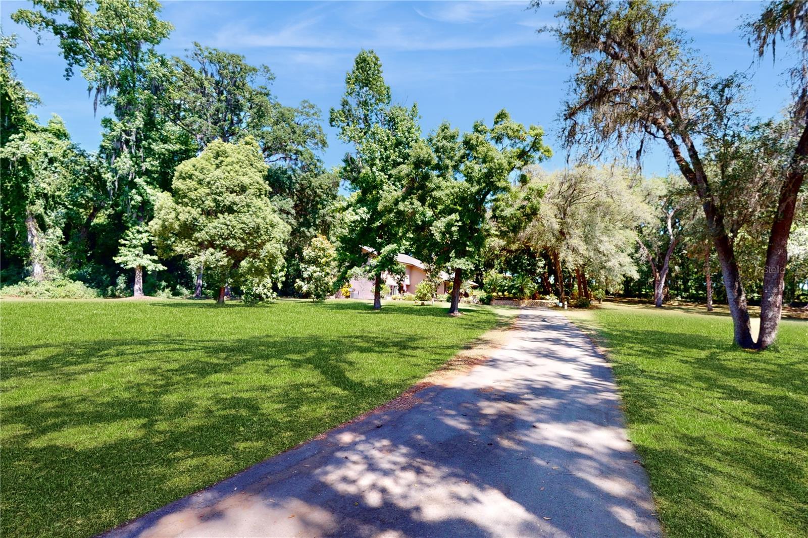 15839 POWERLINE RD, DADE CITY, FL, 33523