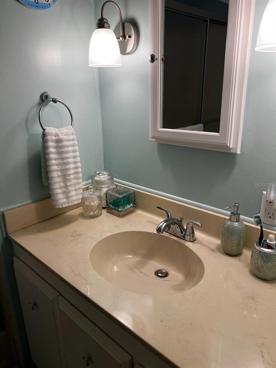 15 WILDERNESS DR, LAKE PANASOFFKEE, FL, 33538