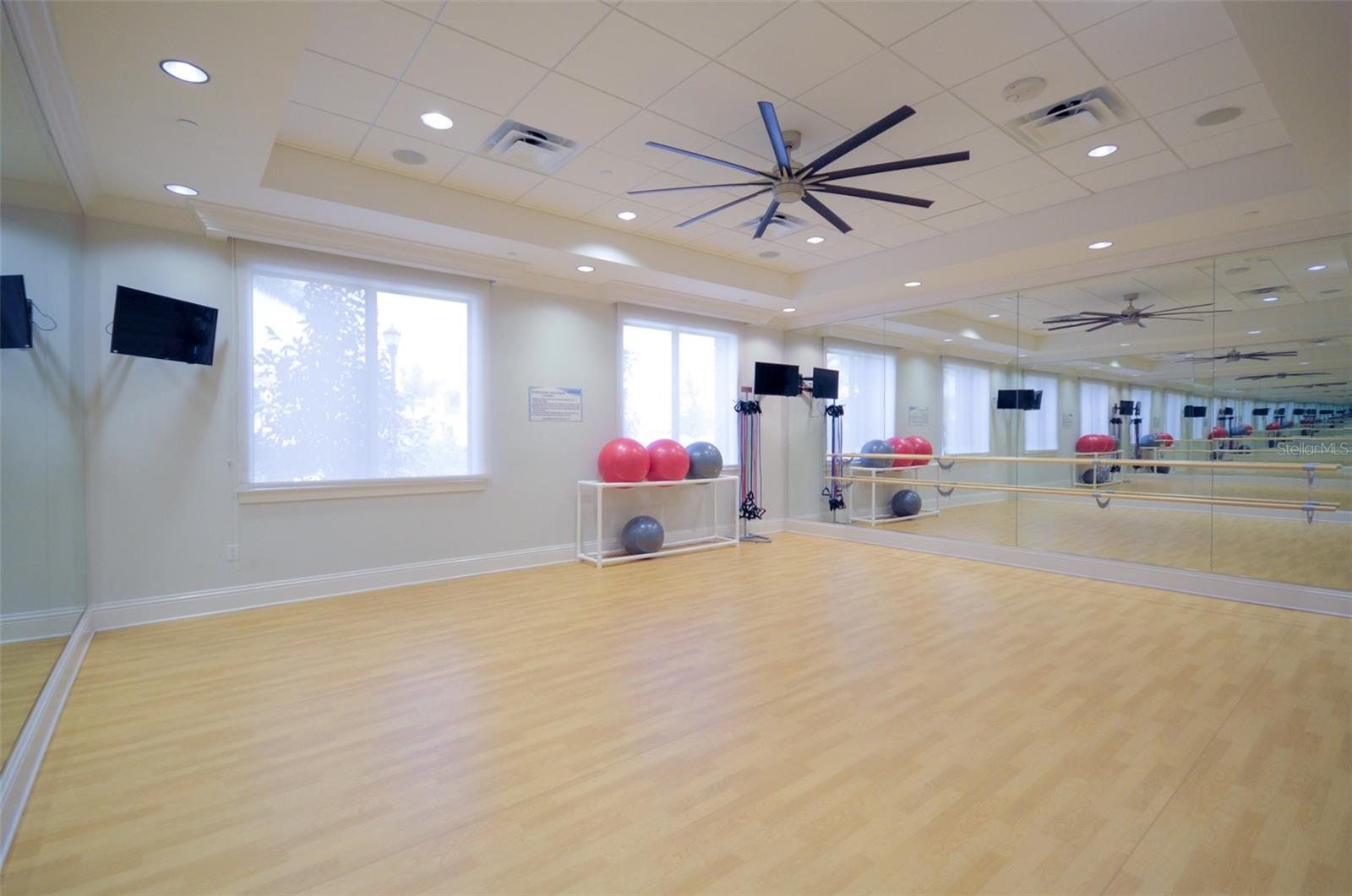 30600 CHESAPEAKE BAY DR, WESLEY CHAPEL, FL, 33543