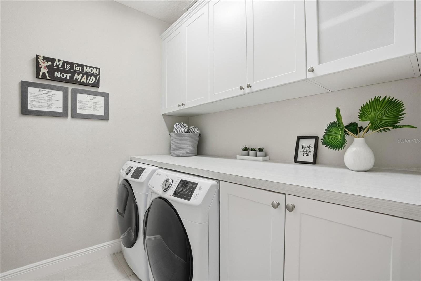 30600 CHESAPEAKE BAY DR, WESLEY CHAPEL, FL, 33543