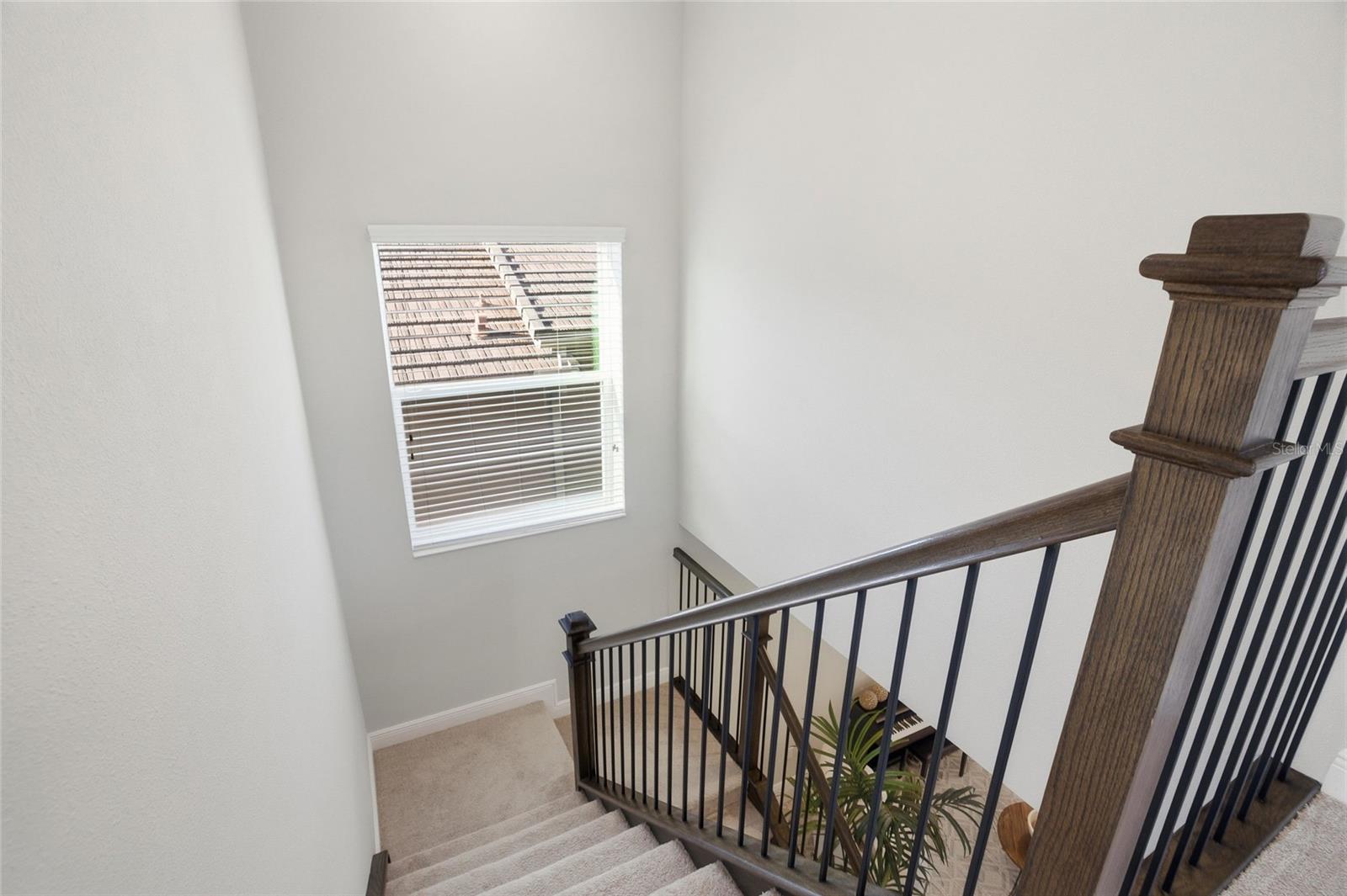 30600 CHESAPEAKE BAY DR, WESLEY CHAPEL, FL, 33543