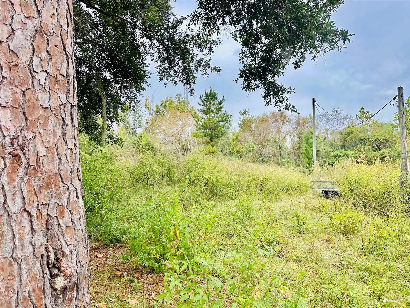 8571 S COUNTY ROAD 231, LAKE BUTLER, FL, 32054