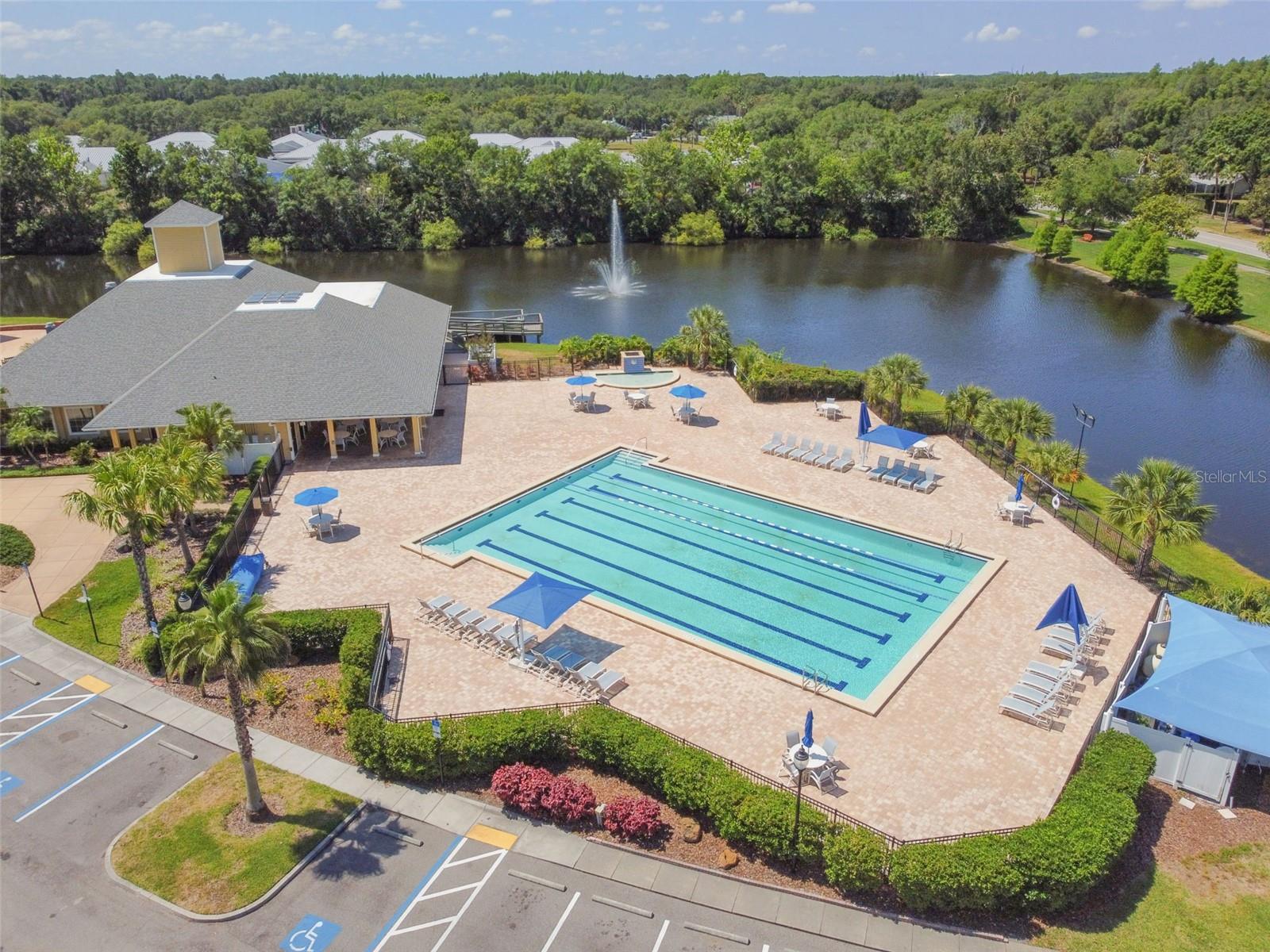 7206 RIDGEPORT DR, TAMPA, FL, 33647