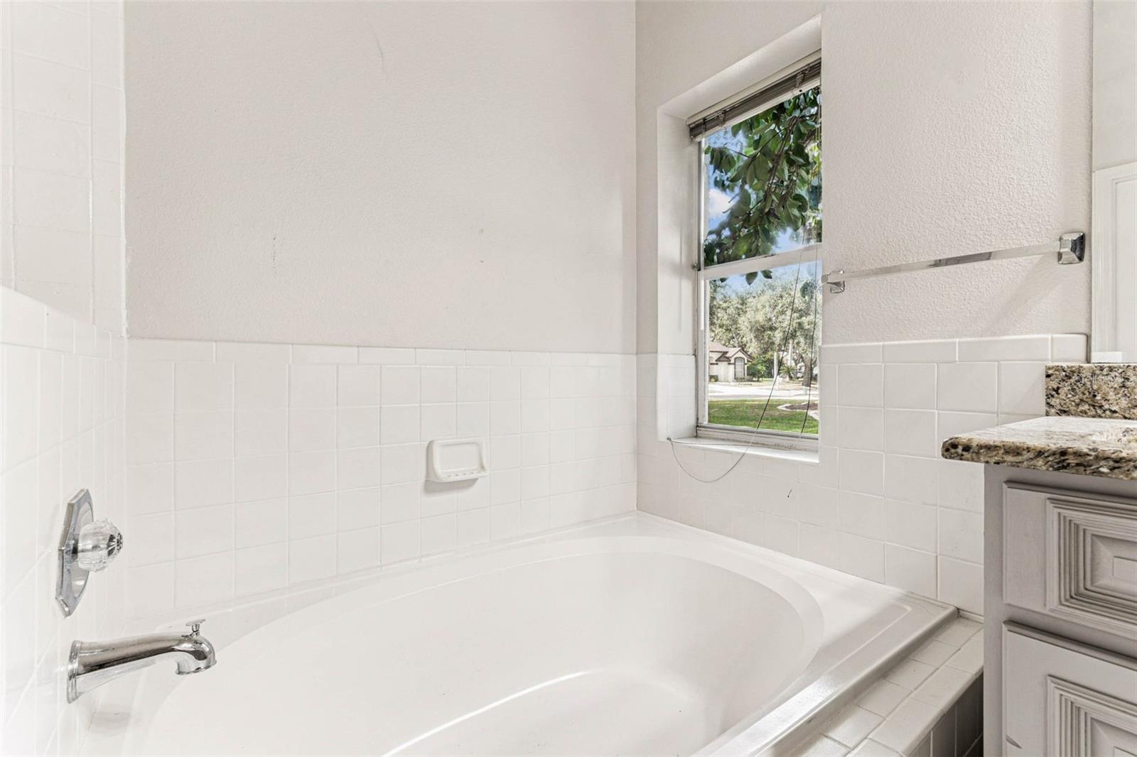 7206 RIDGEPORT DR, TAMPA, FL, 33647