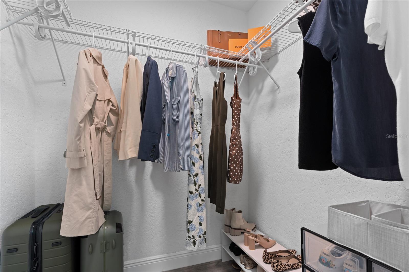 3229 PARKWAY PL, PALM HARBOR, FL, 34684