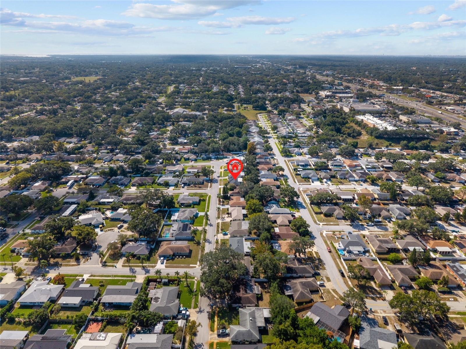 3229 PARKWAY PL, PALM HARBOR, FL, 34684