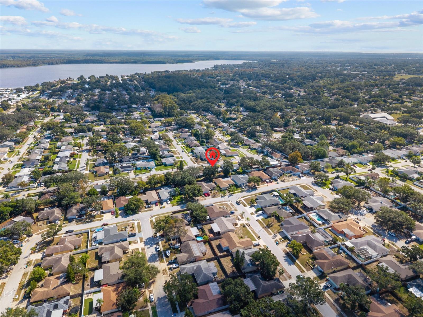 3229 PARKWAY PL, PALM HARBOR, FL, 34684