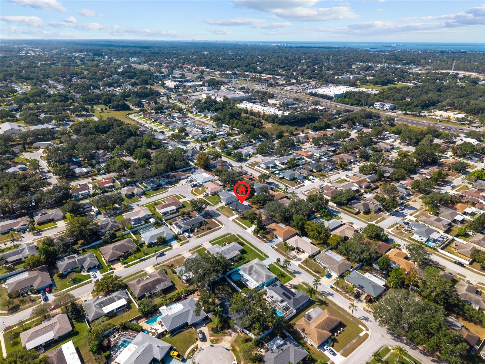 3229 PARKWAY PL, PALM HARBOR, FL, 34684