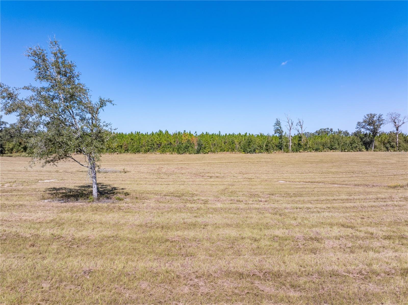 15034 N COUNTY ROAD 349, LIVE OAK, FL, 32060