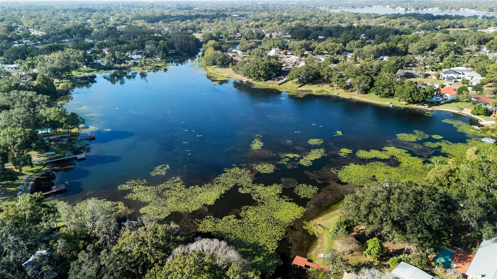 11720 N EDISON AVE, TAMPA, FL, 33612