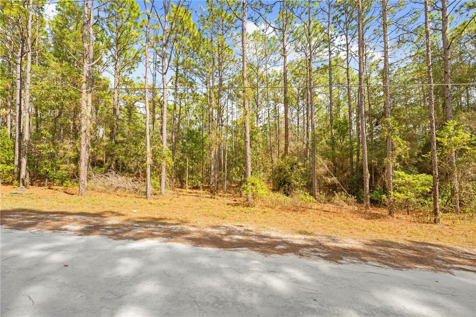 0 CARTWRITE RD, SPRING HILL, FL, 34609