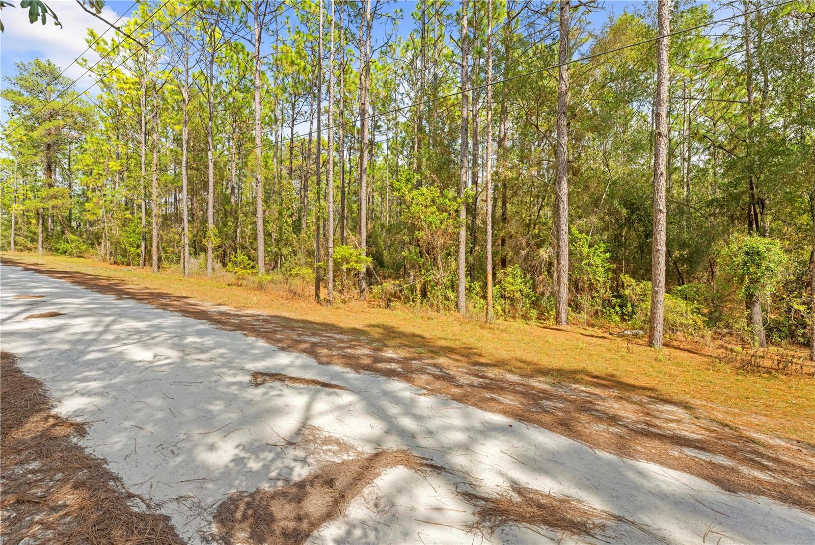 0 CARTWRITE RD, SPRING HILL, FL, 34609