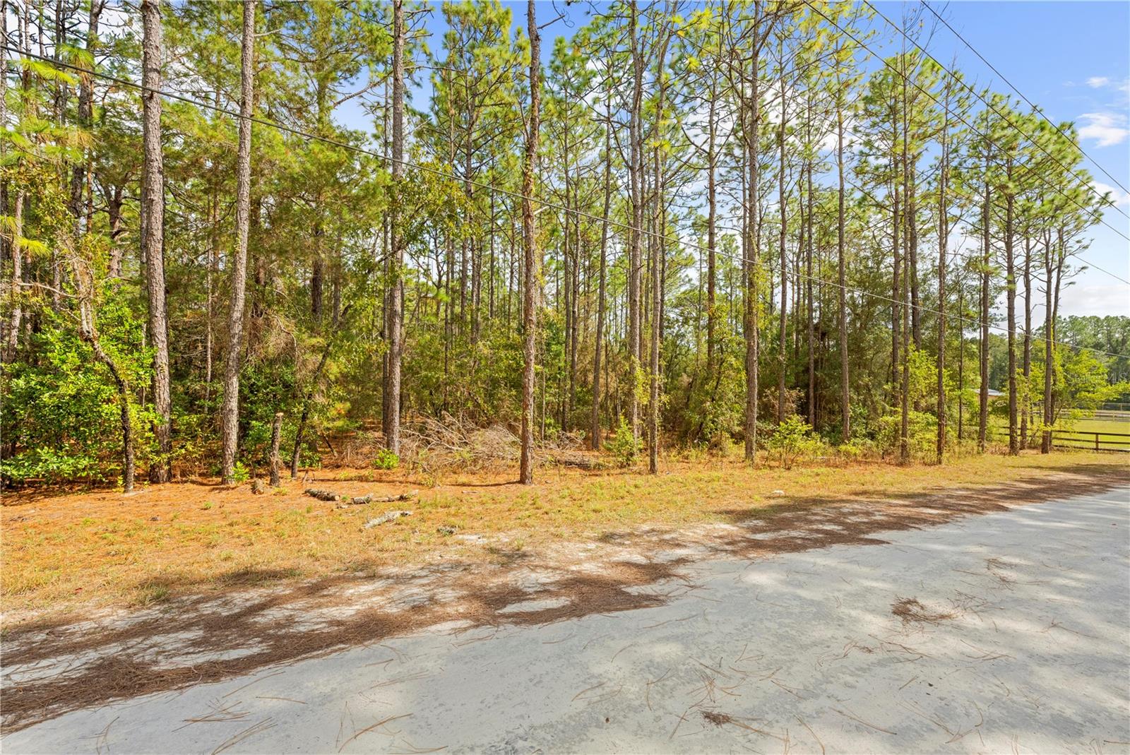 0 CARTWRITE RD, SPRING HILL, FL, 34609