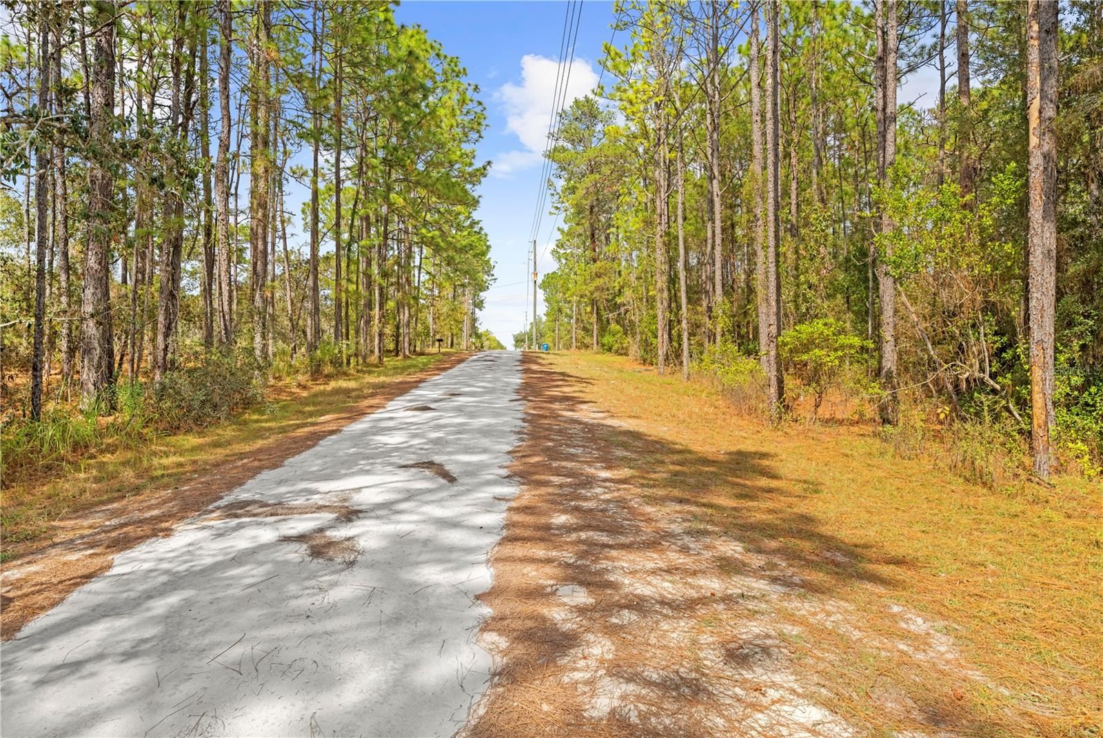 0 CARTWRITE RD, SPRING HILL, FL, 34609