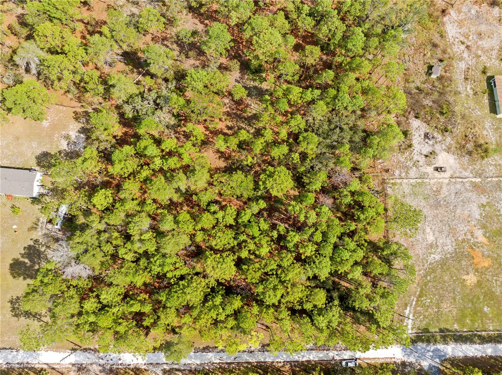 0 CARTWRITE RD, SPRING HILL, FL, 34609