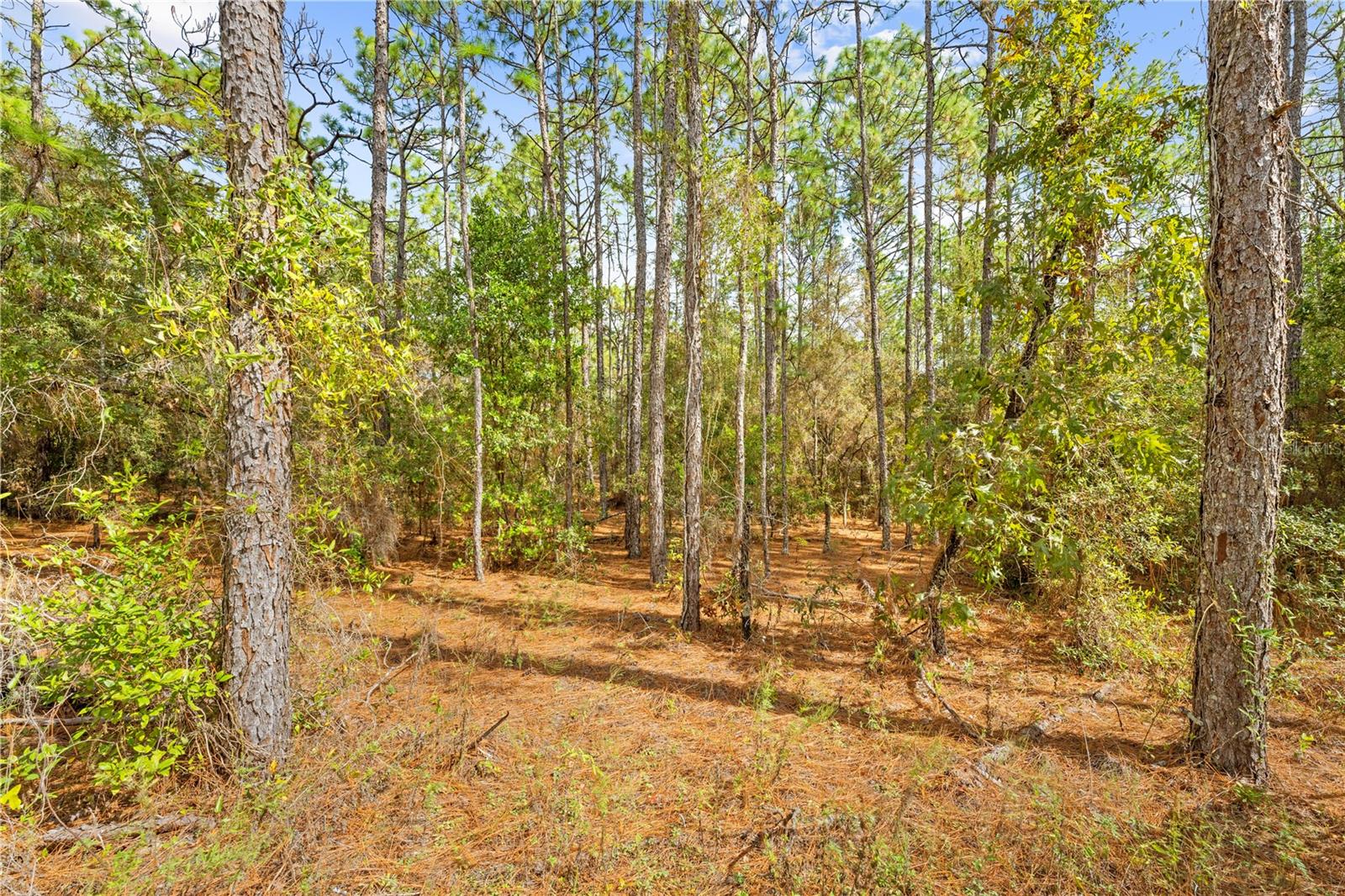 0 CARTWRITE RD, SPRING HILL, FL, 34609