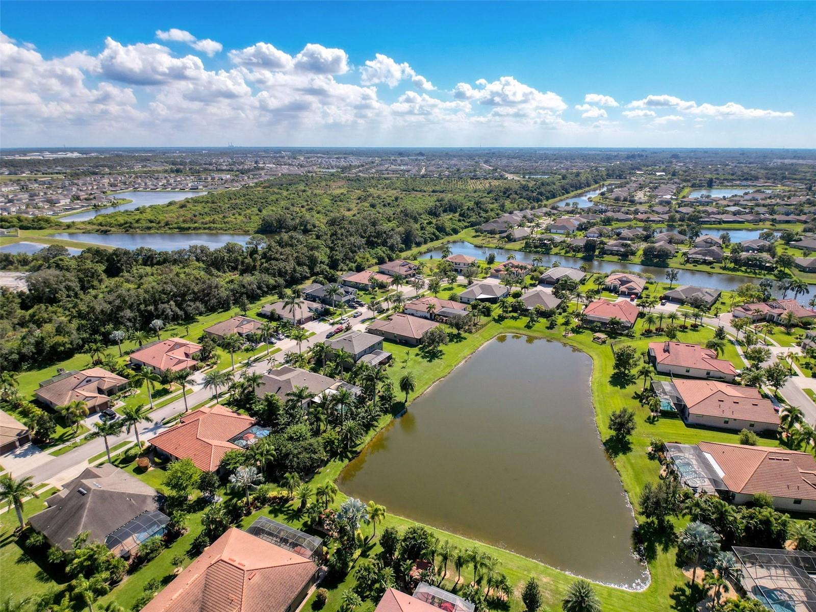 335 COCKLE SHELL LOOP, APOLLO BEACH, FL, 33572