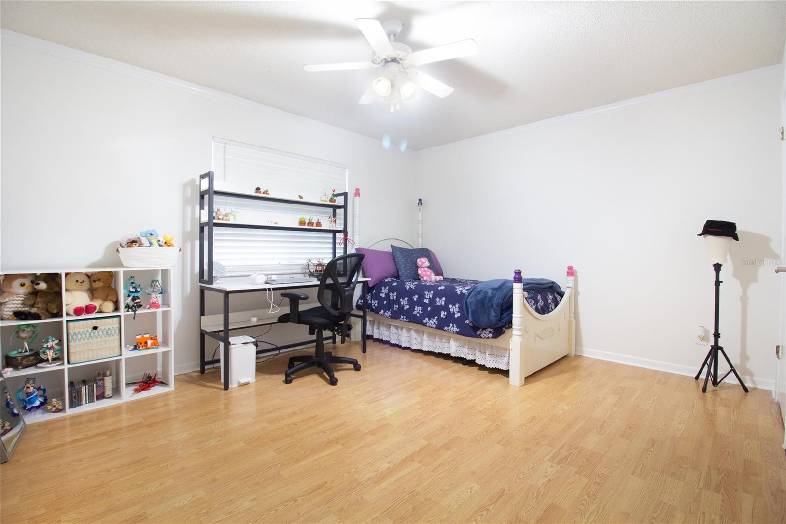 547 OLEANDER WAY S, ST PETERSBURG, FL, 33707