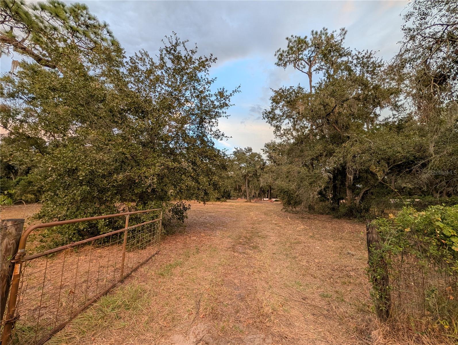 6916 CORONET RD, LAKELAND, FL, 33811