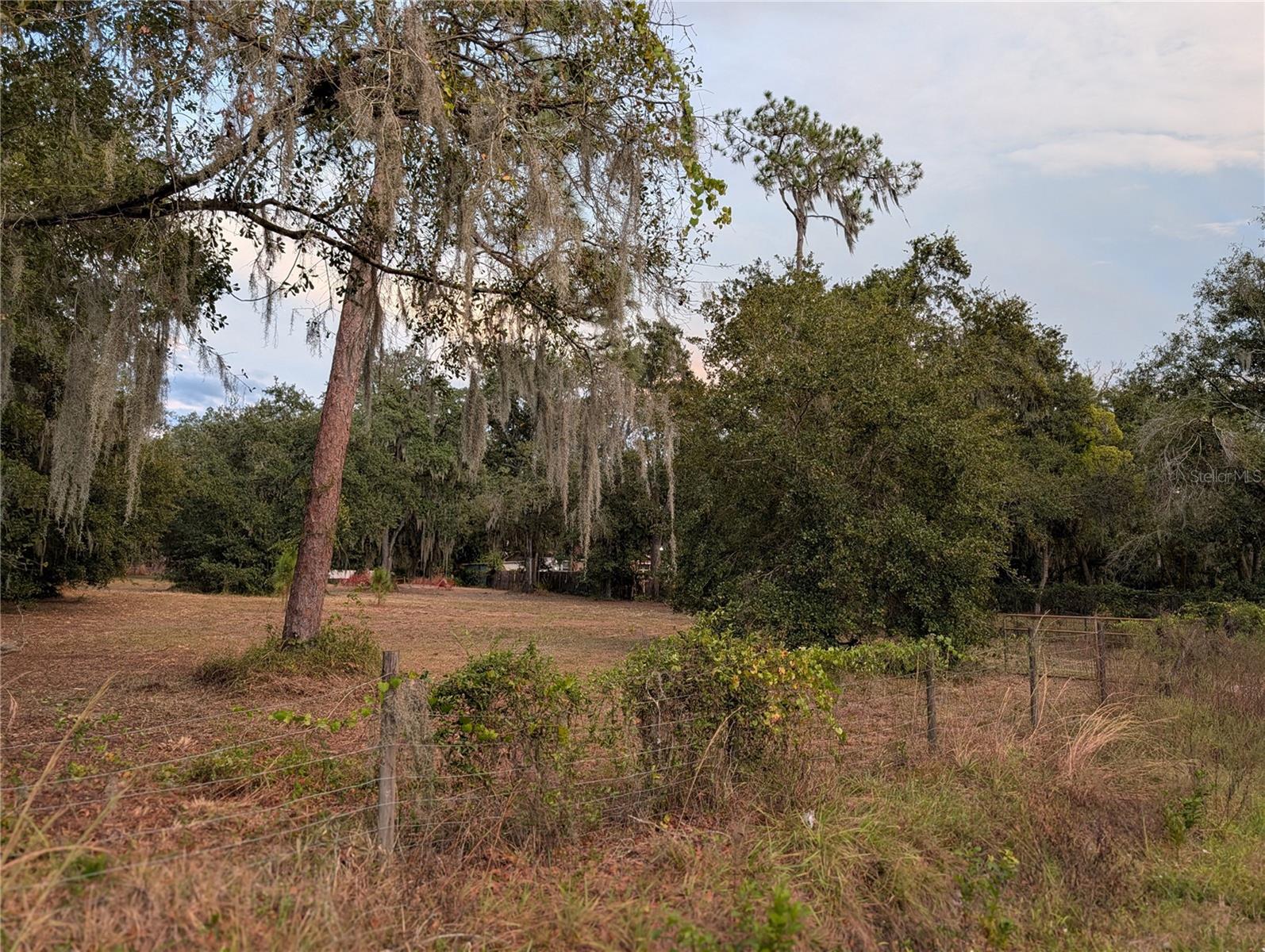 6916 CORONET RD, LAKELAND, FL, 33811