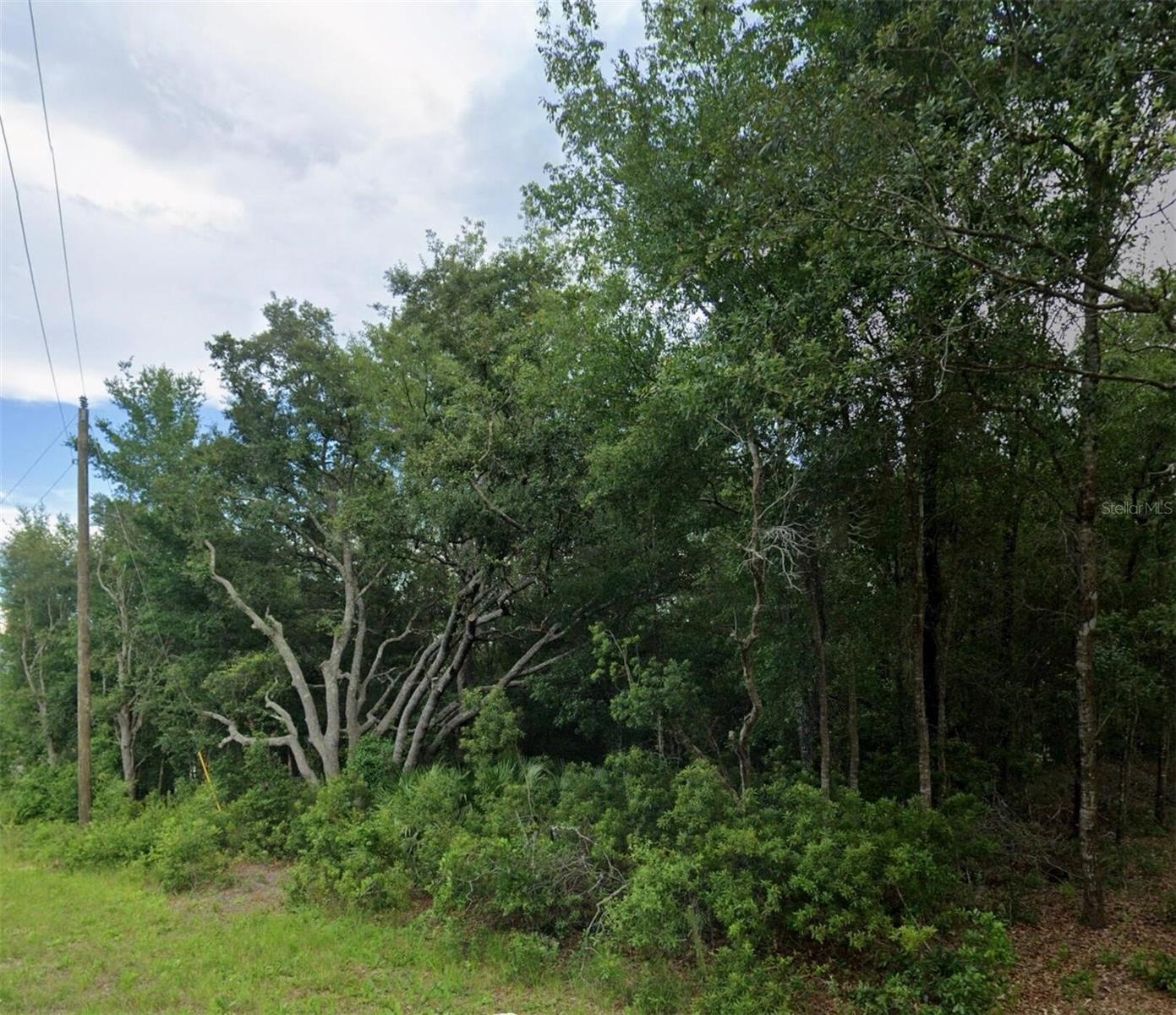 2493 W MAGENTA DR, CITRUS SPRINGS, FL, 34434