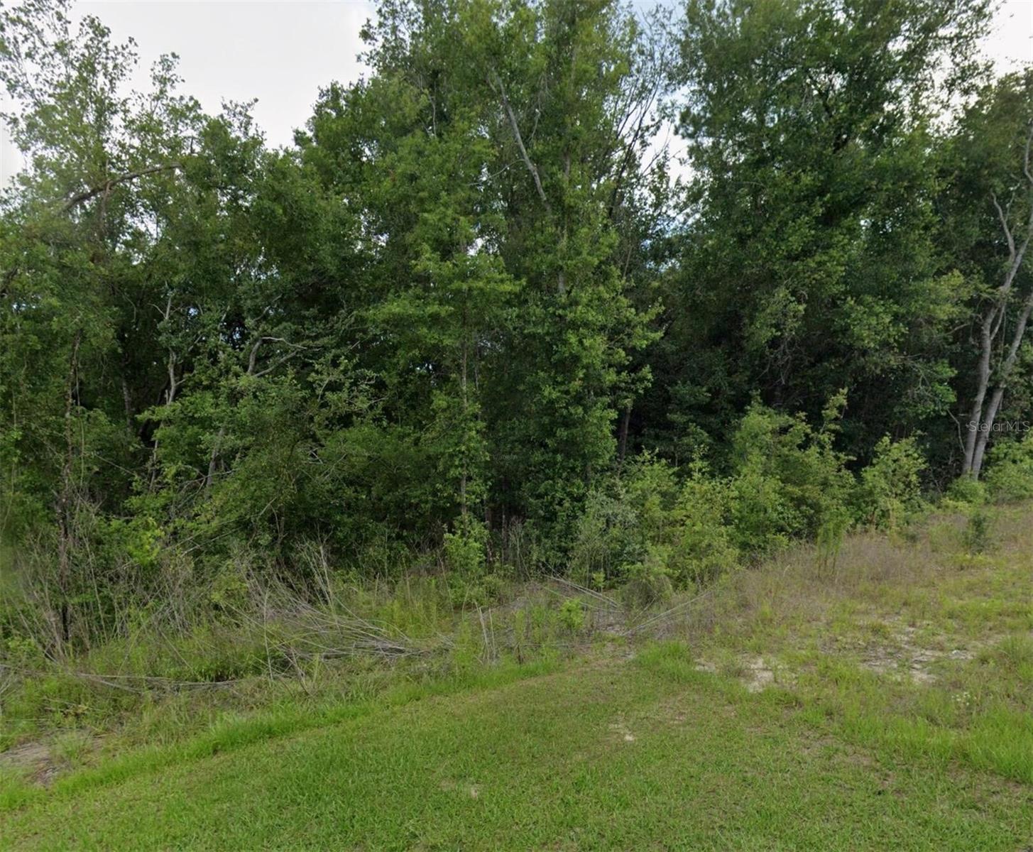 2493 W MAGENTA DR, CITRUS SPRINGS, FL, 34434